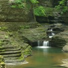 Watkins Glen
